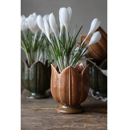 Kruka Tulipa Ockra