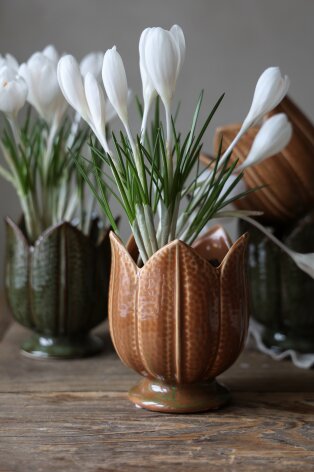 Kruka Tulipa Ockra