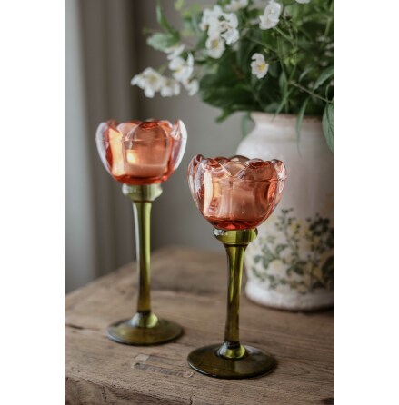 Ljushllare p fot Rose Liten Orange