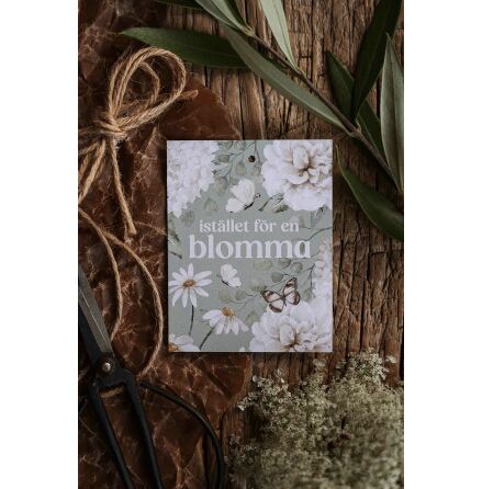 Majas Gvokort Istllet fr en blomma