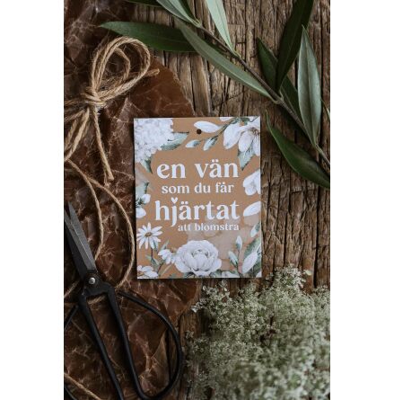 Majas Gvokort En vn som du fr hjrtat att blomstra