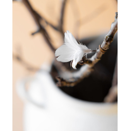 Fj�der Tr�dad Blom Vit