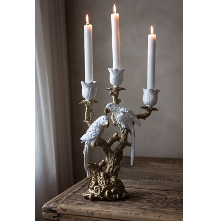 Ljusstake F�glar p� Gren