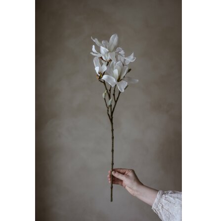 Konstv�xt Magnolia Vit Stor