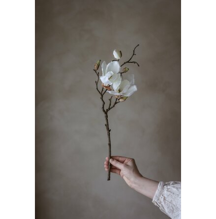Konstv�xt Magnolia Vit Liten